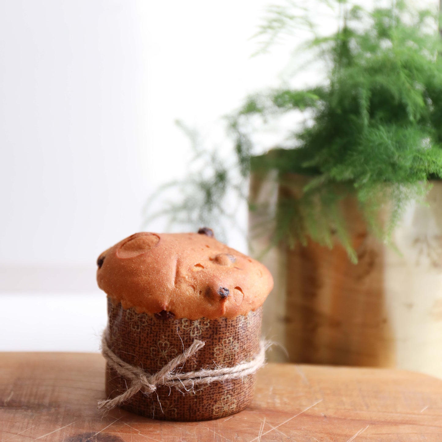 Panettone Small con Gocce di Cioccolato